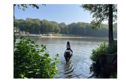 Restaurant Les Etangs des Moines
