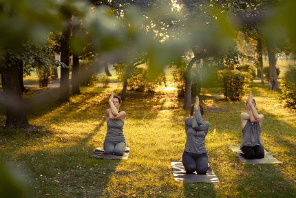 Le Jardin de l'Abbaye