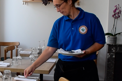 Papilles et Papillons