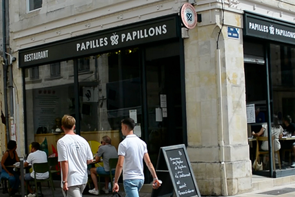 Papilles et Papillons