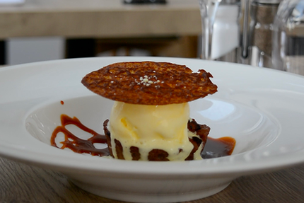 Papilles et Papillons