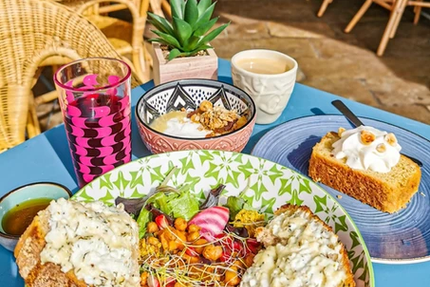 El Gato de la Cocina