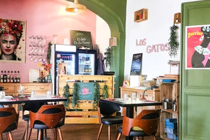 El Gato de la Cocina