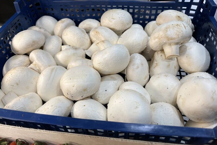 La tour de pizz - Plan de Cuques