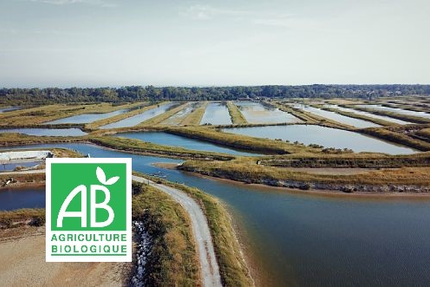 La Ferme des Baleines