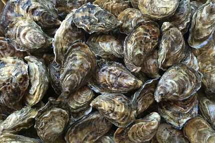 La Ferme des Baleines