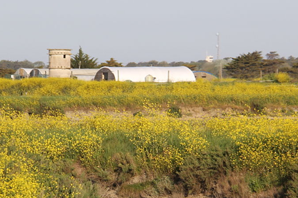 La Ferme des Baleines