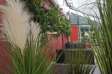 Buffet de la Plaine - Restaurant à volonté - traiteur