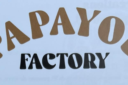 PAPAYOU FACTORY