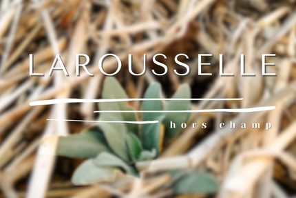 Larousselle hors champ