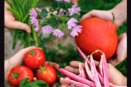 Le Marchand de Galettes