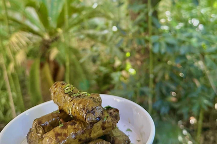 Restaurant Mésopota'Nîmes