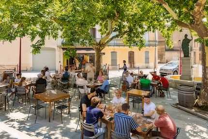 La Terrasse du Mimosa