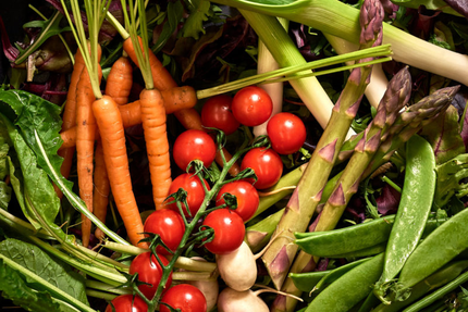 La Fontaine Cavalier