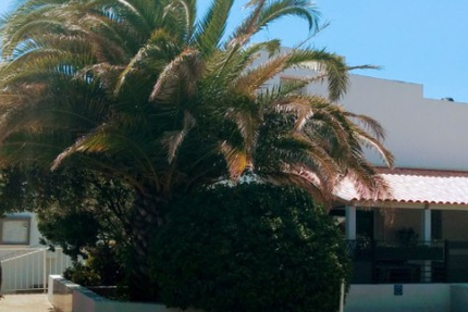 La Table de Florensac