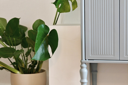 Le Podium - Café Coworking Studio