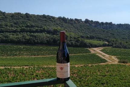 Restaurant Le Dauphin