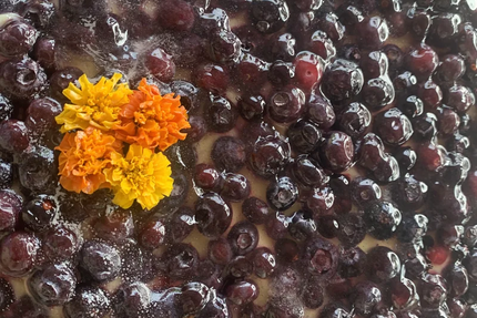 PIZZAELA Mr Lespinas Olivier