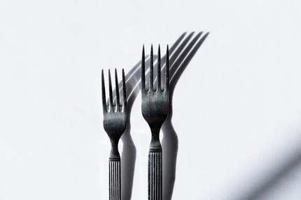 Le Moulin de la Reillère