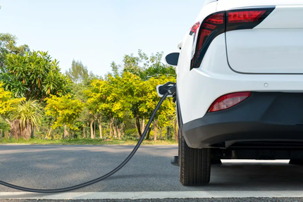 Restaurant Pizzeria Le Damier