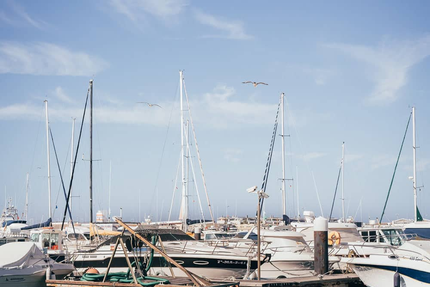 Restaurant Le Saint-Pierre - Le grau du Roi