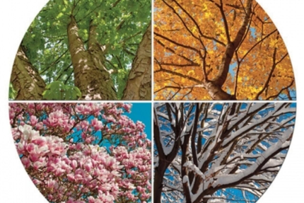 Restaurant les forges