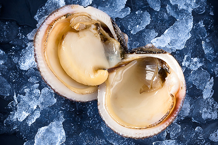 Maison du coquillage Montpellier