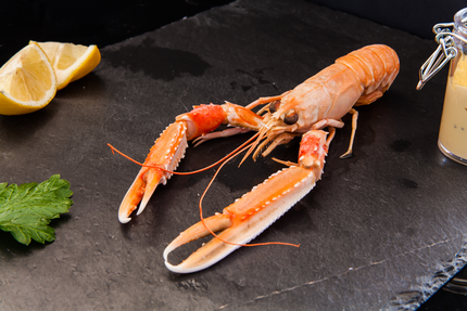 Maison du coquillage Montpellier