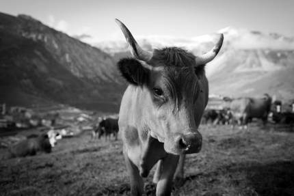 La Ferme des 3 Capucines