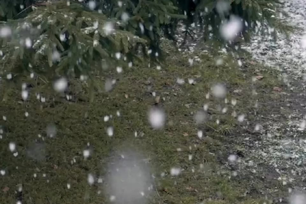 Brasserie biologique Destral