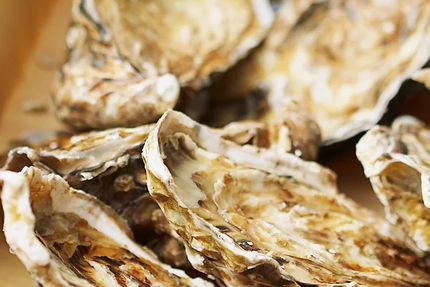 Nacre | Huîtres & fruits de mer