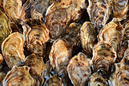 Nacre | Huîtres & fruits de mer