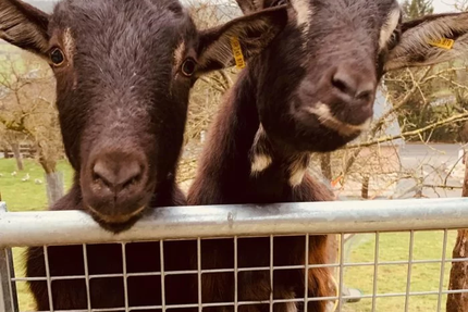 RESTAURANT • Les Comptoirs de Pierre - Orbec