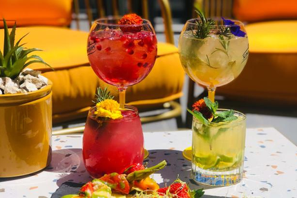 Le Safari Bar - Restaurant Carpentras