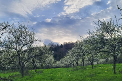 RESTAURANT LE GAIGNE