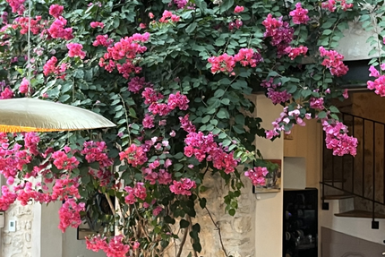 Restaurant Le Four à Chaud