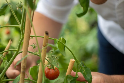 Auberge de la Chèvrerie Restaurant Molsheim Obernai