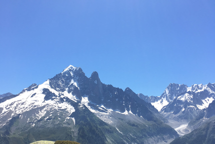 Restaurant Le Rosebud