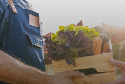 Brut maison de cuisine