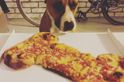 Pizza au Bois
