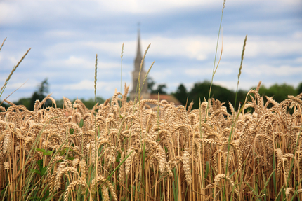 MY PIZZA SAINT GILLES