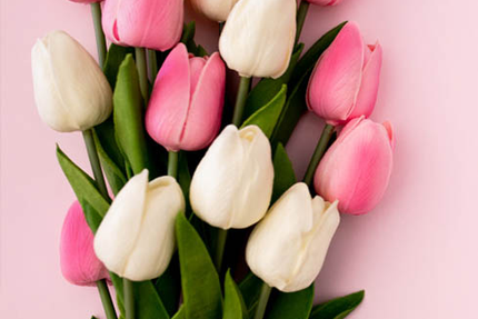 Restaurant Au Pont de l'Ill - La Wantzenau