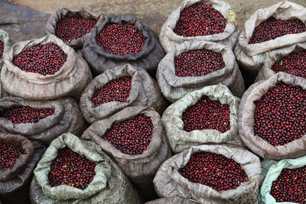 LOYAL café-cantine Miromesnil