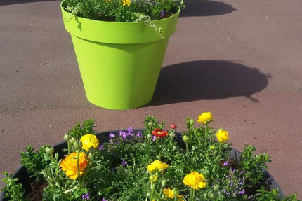 Brasserie des Francs