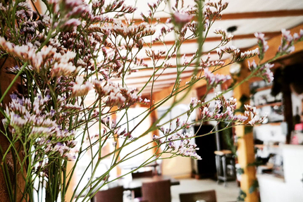 L'ASSIETTE CAMARGUAISE