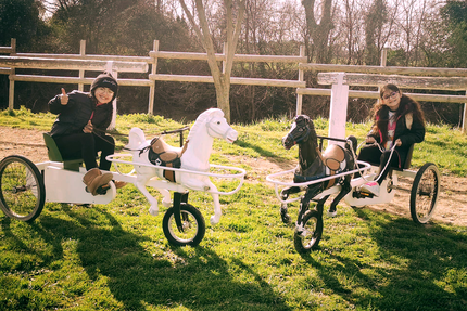L'ASSIETTE CAMARGUAISE