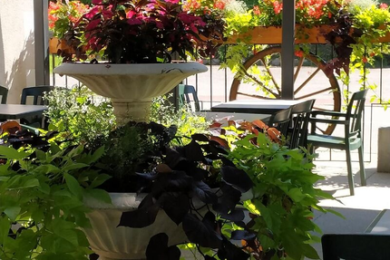 Restaurant Diane de Chautagne