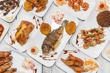 Palmiste Soleil d'Haïti