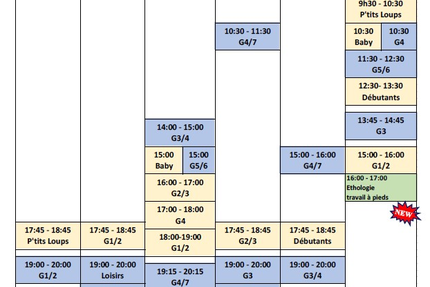 pizzas du centre équestre