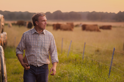 Cuisine centrale Convivio - Ozoir-la-Ferrière